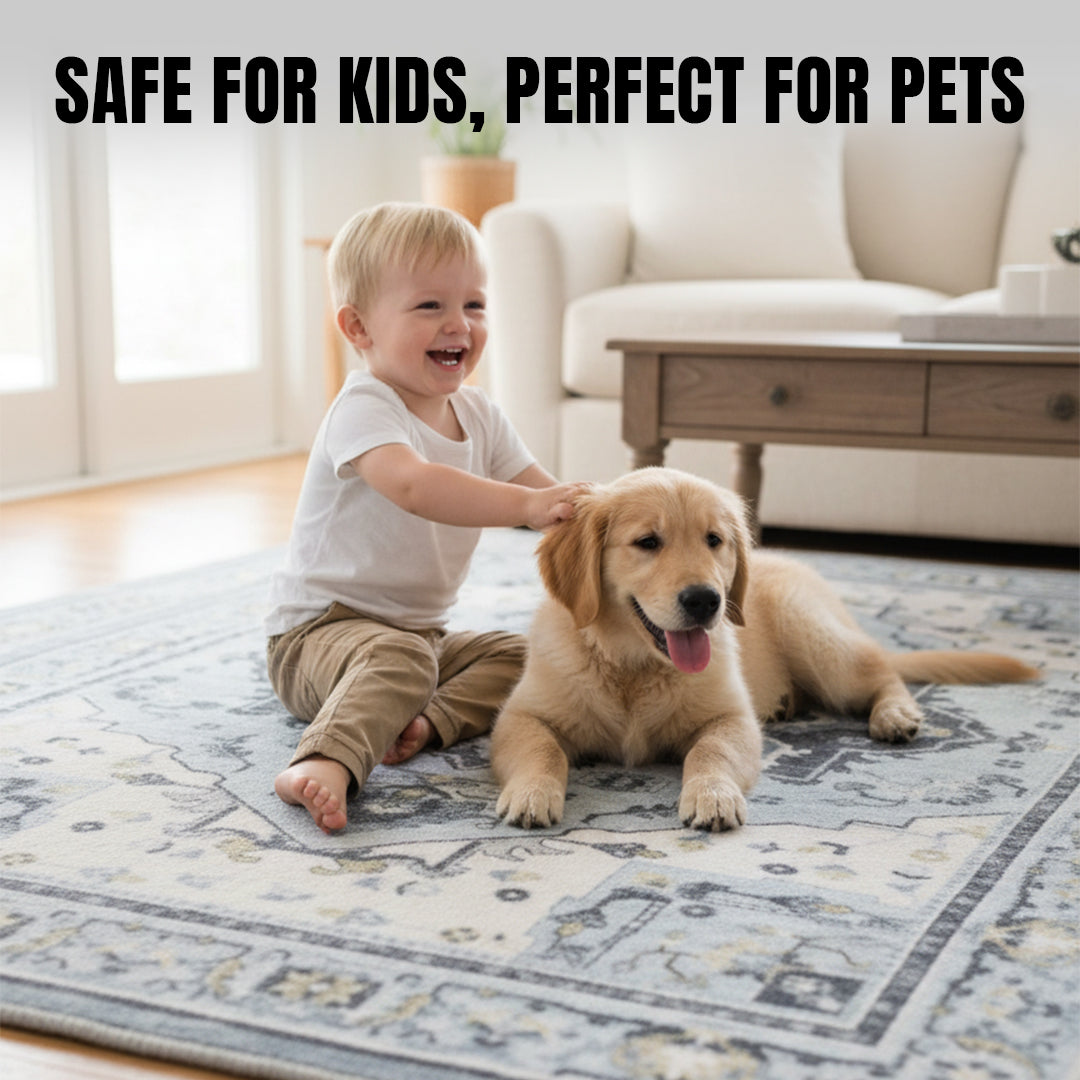 Muddy Carpet Azure Washable Area Rugs for Living Room, Bedroom & Dining Room – Modern Soft Low Pile Non Slip Carpet – Pet Friendly Waterproof Foldable Rugs for Home