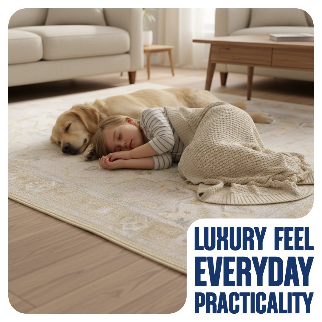 Muddy Carpet Champagne Washable Area Rugs for Living Room, Bedroom & Dining Room – Modern Soft Low Pile Non Slip Carpet – Pet Friendly Waterproof Foldable Rugs for Home