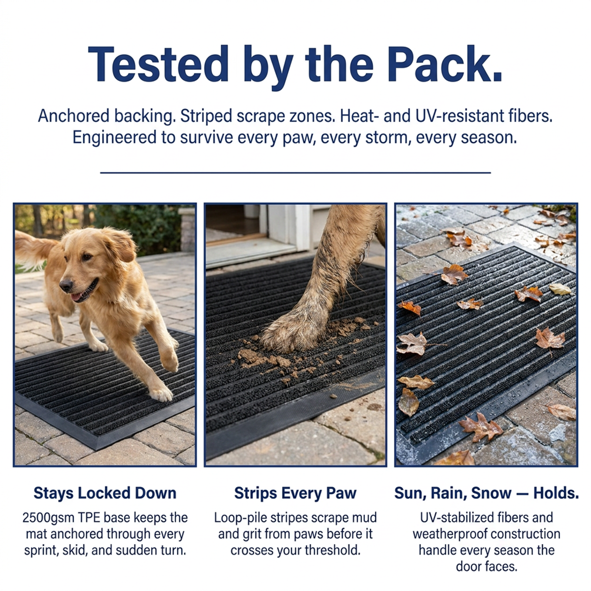 Muddymats® Printed Meshy Mat – The Best Dog Outdoor Mat for Muddy Paws