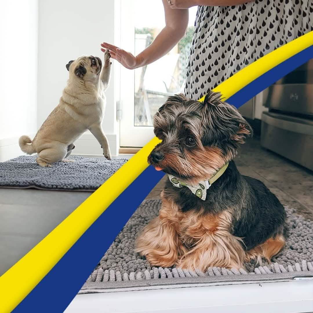 Muddymats® - Anti-Mud Dog Door Mat