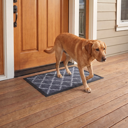 Muddymats® Printed Meshy Mat – The Best Dog Outdoor Mat for Muddy Paws