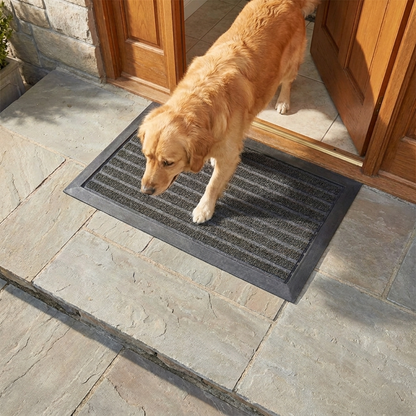 Muddymats® Printed Meshy Mat – The Best Dog Outdoor Mat for Muddy Paws
