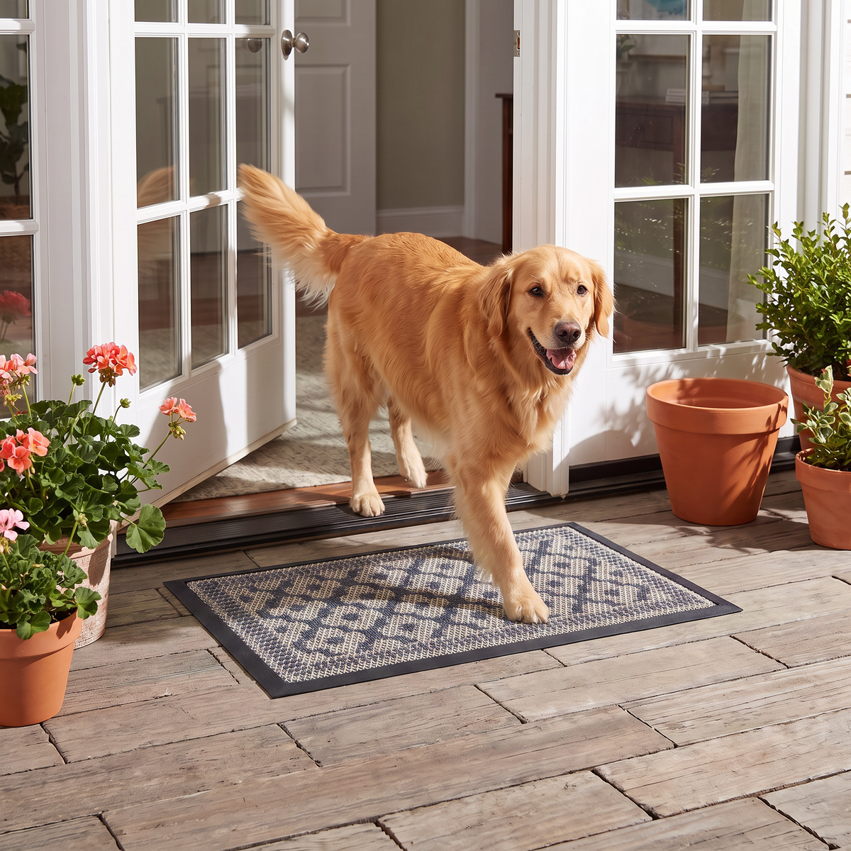 Muddymats® Printed Meshy Mat – The Best Dog Outdoor Mat for Muddy Paws